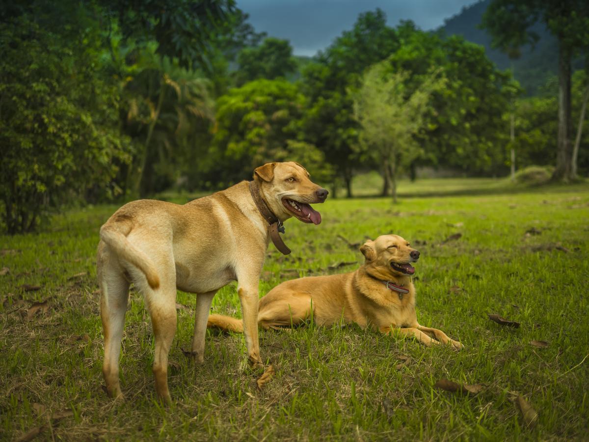 Pousada Bem Viver Ubatuba Esterno foto
